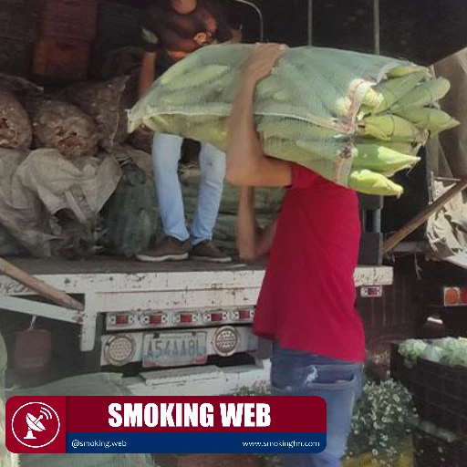 Productos agricolas colombianos ganan presencia en el mercado Tachirense