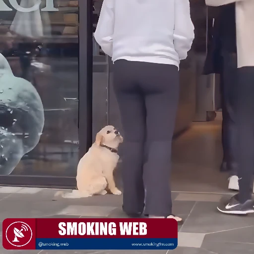 Se aparta para no estorbar el paso