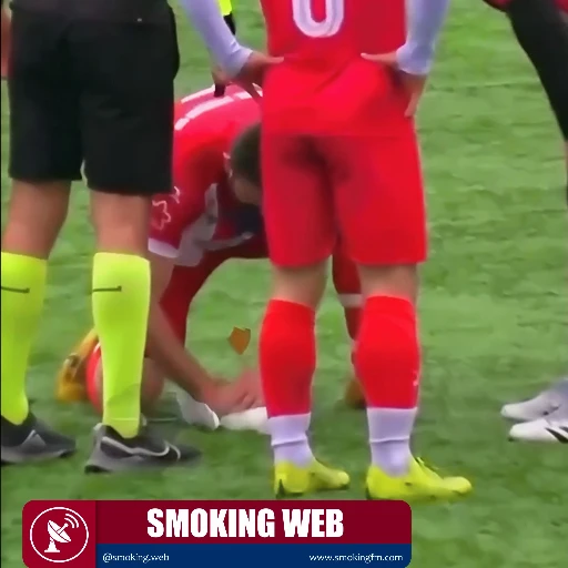 Héroes en la cancha: Futbolistas turcos salvan la vida de una gaviota tras un pelotazo accidental