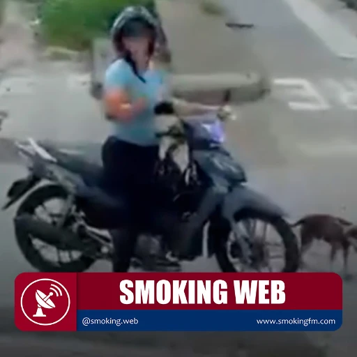 Abandona a su perro en plena vía pública tras ser increpada por arrastrarlo desde su motocicleta