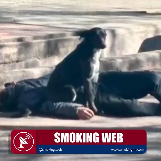 La lealtad de un perro dificulta y conmueve la intervención policial para atender a su dueño en vía