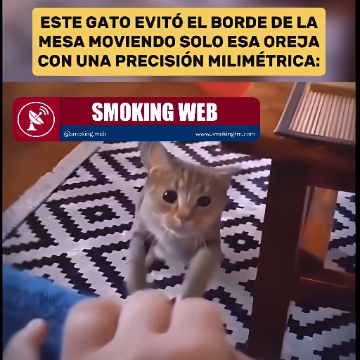 Precisión Asombrosa: Gato Muestra Coordinación Única al Mover una Oreja para Evitar un Obstáculo