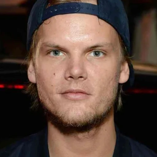 Netflix presentará el último concierto que ofreció el fallecido DJ Avicii y un documental sobre su v