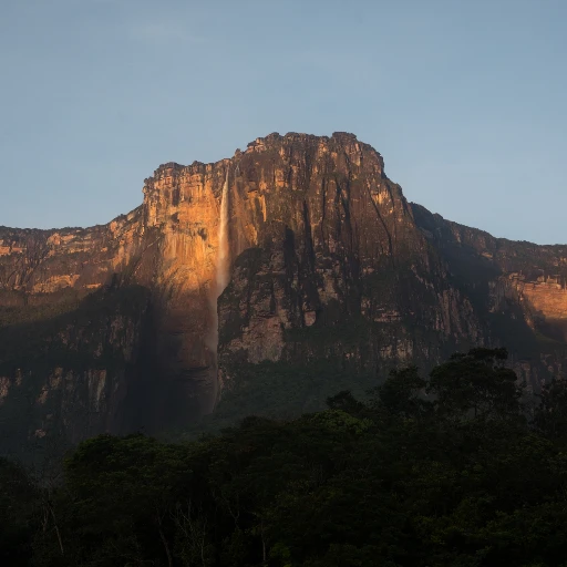 SOS Orinoco alerta sobre creciente deterioro del Parque Canaima